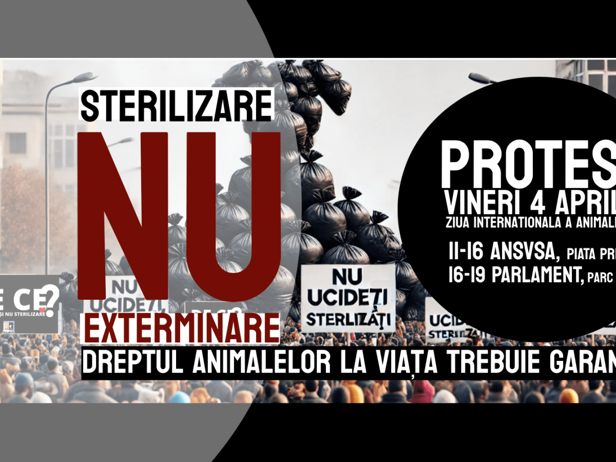 Protest STERILIZARE, NU&nbsp;EXTERMINARE