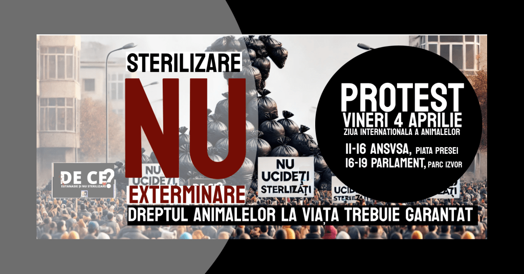Protest STERILIZARE, NU&nbsp;EXTERMINARE